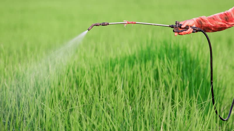 化学杀虫剂可以有效抵抗害虫,但它们也会污染土壤