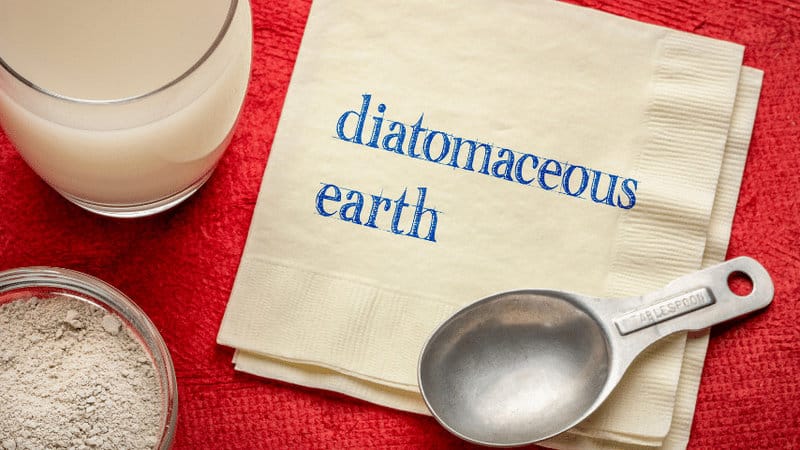 Diatomaceous earth is non-toxic and isn't dangerous to people, it can be fatal to slugs, beetles, and insects