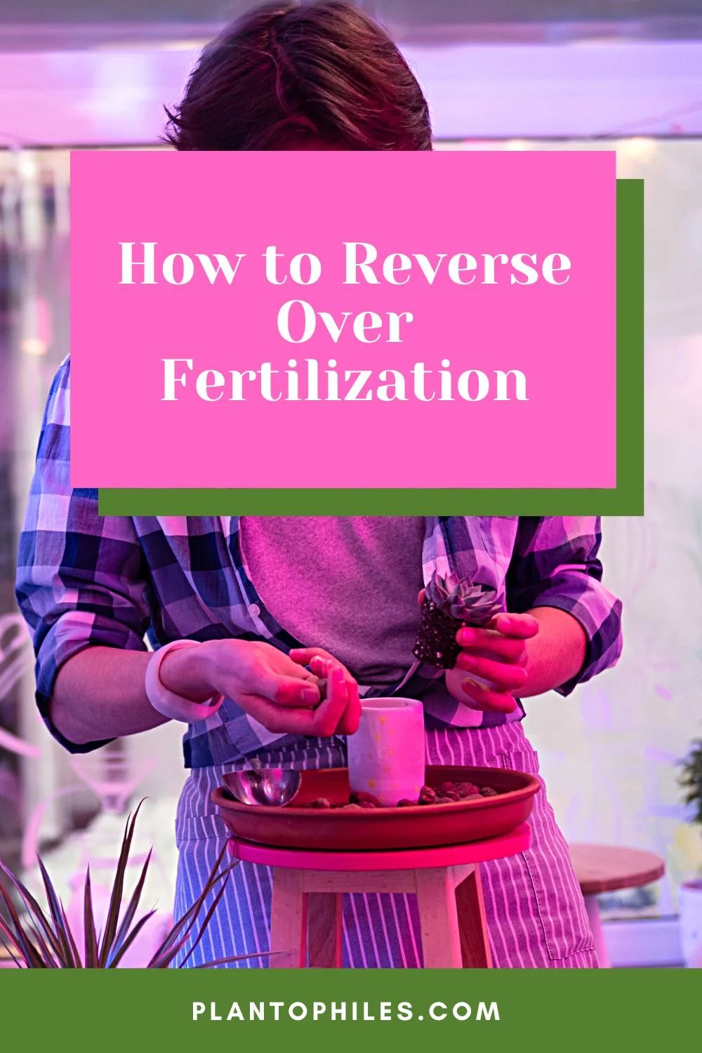 How to Reverse Over Fertilization