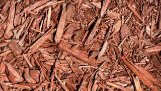 Pros and Cons of Using Cedar Mulch