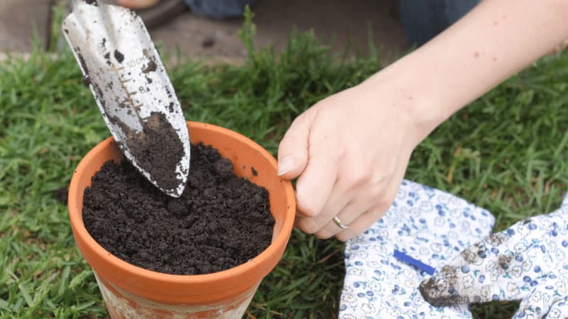 You can reduce the amount of soil in the pot where you are about to plant and add some compost