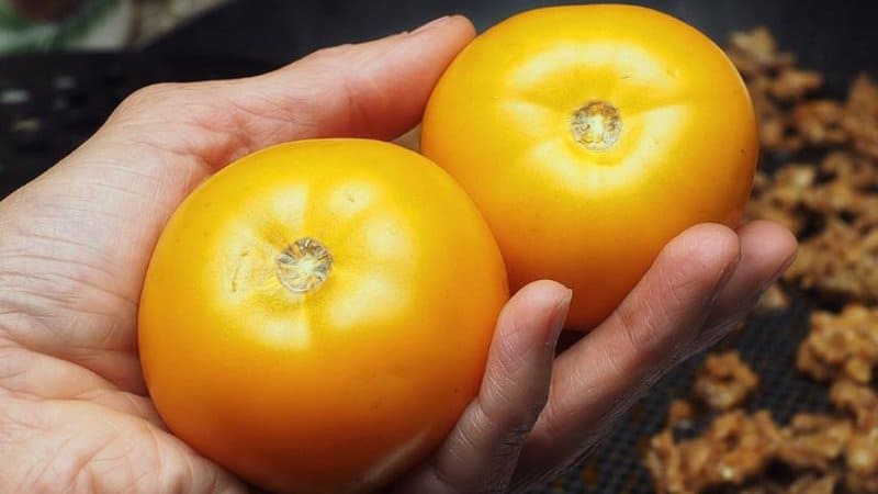 20 Determinate Tomato Varieties - Best List 4