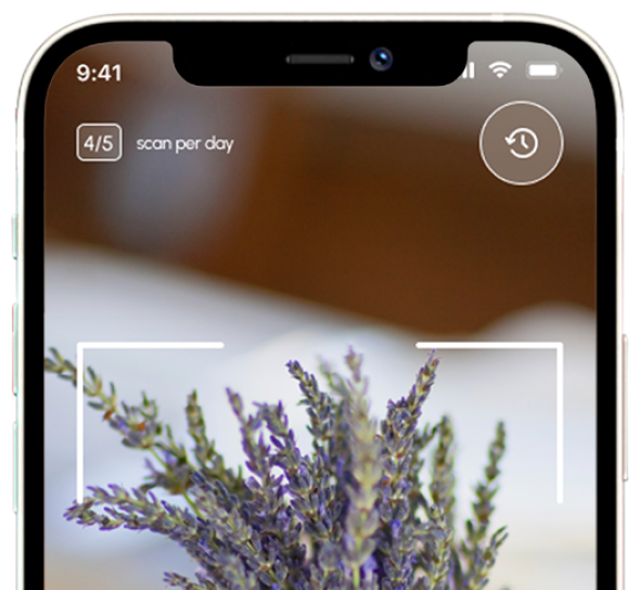 免费的植物标识应用程序的iOS