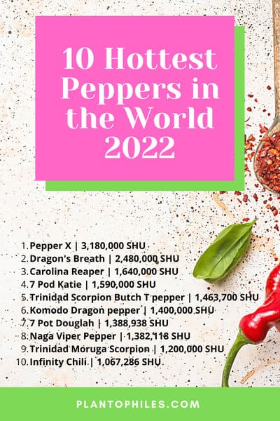 The 10 Hottest Peppers in the World 2022