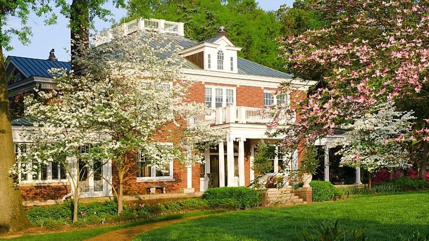 Though you can plant a dogwood tree in full sun locations, they prefer to be behind taller trees so they can be shaded