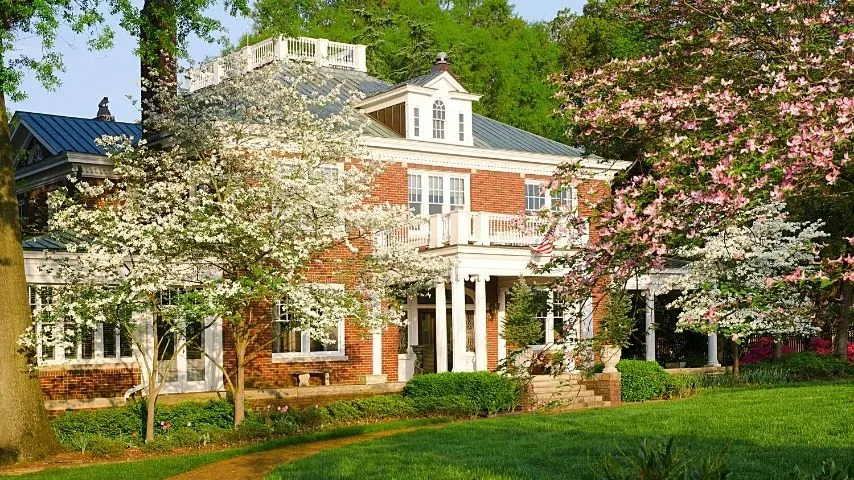 Though you can plant a dogwood tree in full sun locations, they prefer to be behind taller trees so they can be shaded