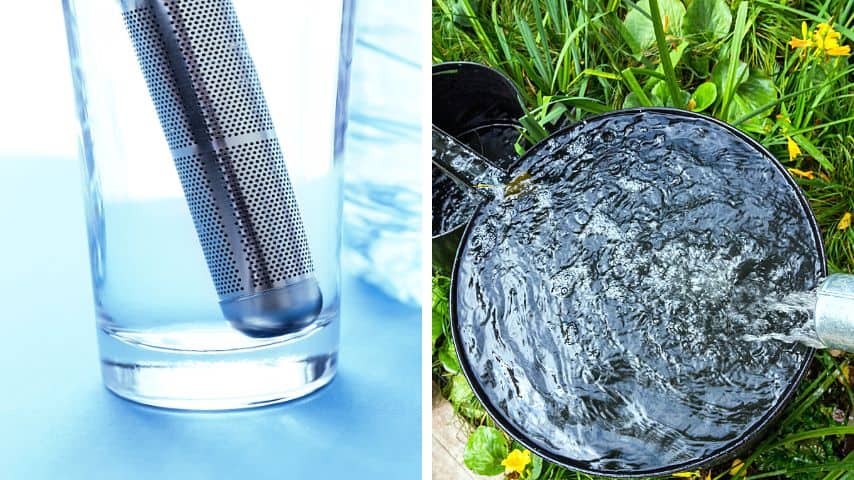 Using filtered water or rainwater for watering your rosemary can prevent the white spots caused by mineral deposits on its leaves