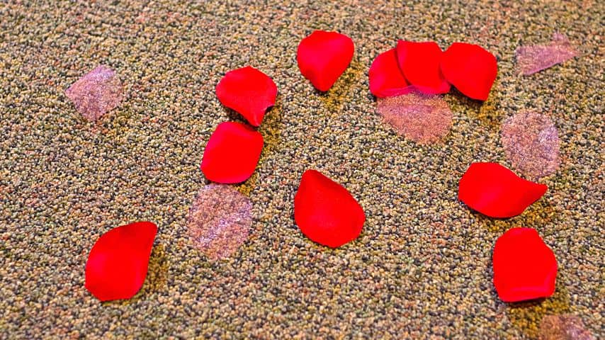 One way to use rose petals for your wedding is to sprinkle them on the aisle you're walking, making for a romantic atmosphere