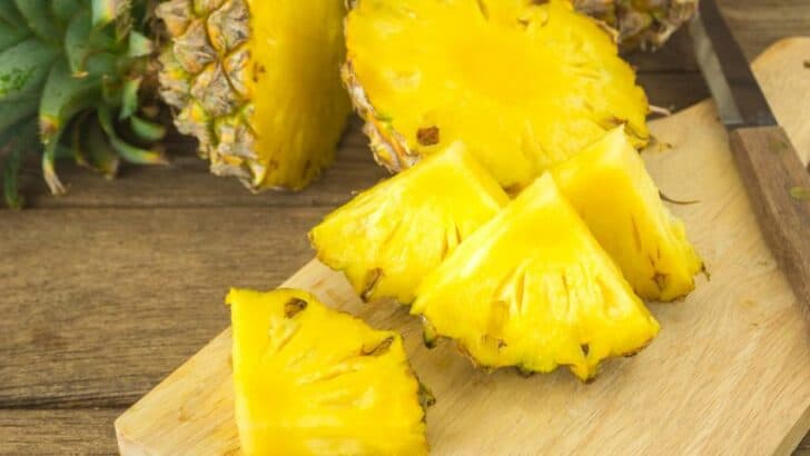 How to Grow Pineapple Seeds —  A Pineapple From Seed