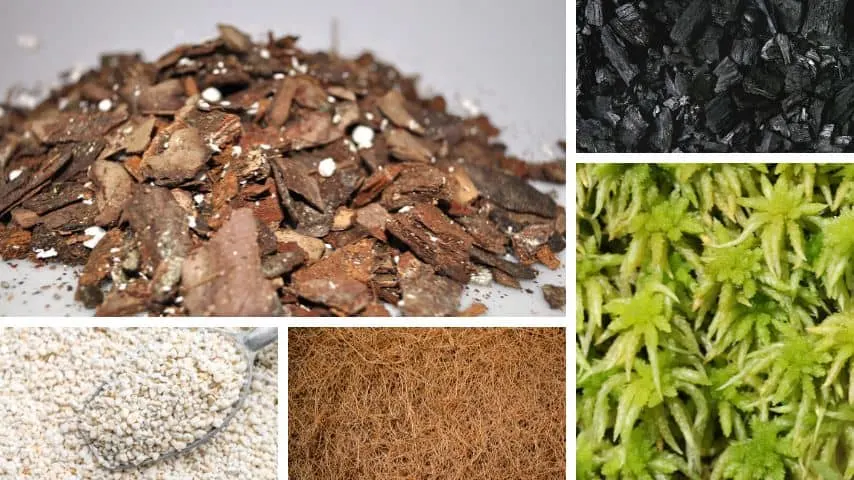 Ideal soil mix for anthuriums include orchid bark, perlite, coco coir or peat moss, and charcoal