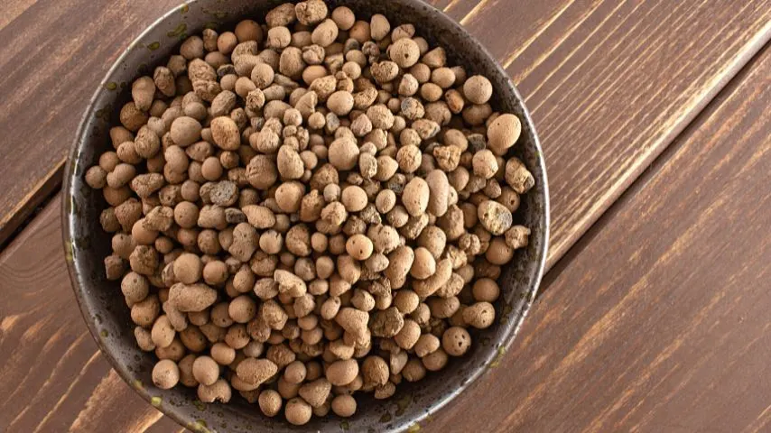 Leca, or expanded clay balls, is often used as growing medium in passive hydroponic systems