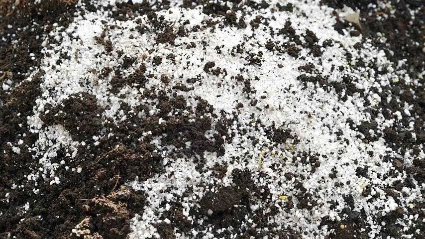 Perlite is a reusable alternative growing medium as it does not decompose