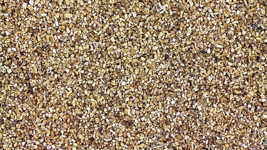 Though often used as growing medium for seedlings, vermiculite is also used for hydroponics
