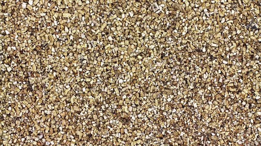 Though often used as growing medium for seedlings, vermiculite is also used for hydroponics