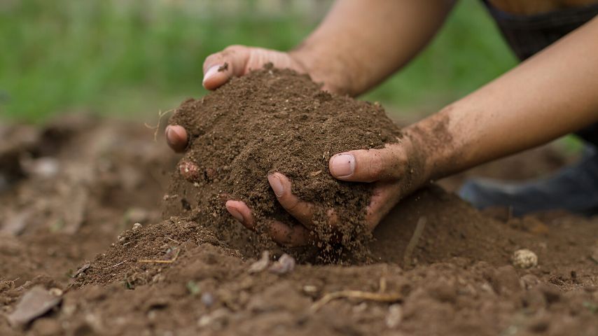 虽然土壤是植物的经典生长介质，但它不能用于水培，因为它是有机的，含有太多的水分188金宝慱亚洲体育