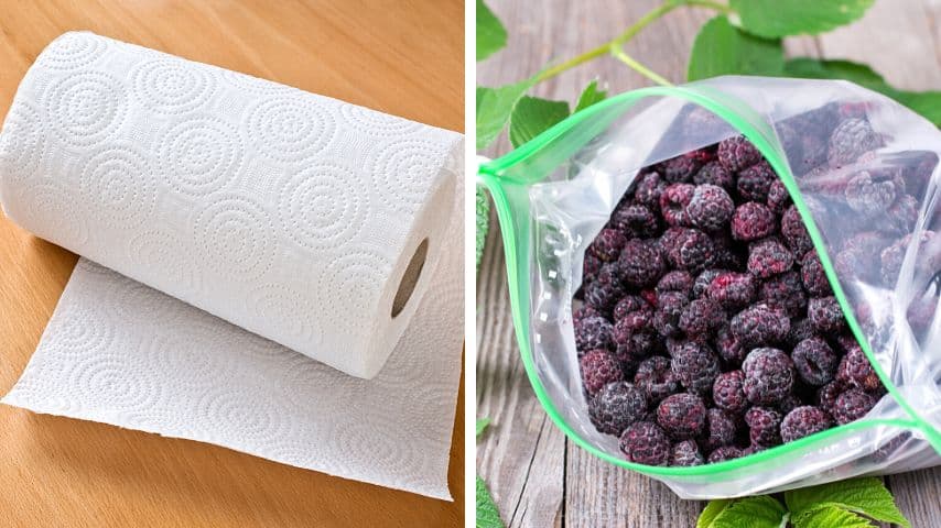 To grow lemons from seeds, you'll need a damp paper towel and a Ziploc bag like the one used to store these berries