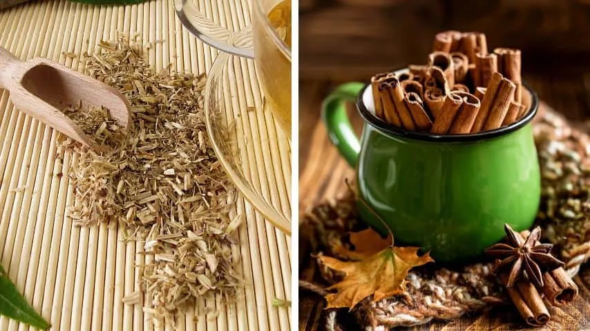 Willow and cinnamon are known natural alternatives to synthetic rooting hormone powder