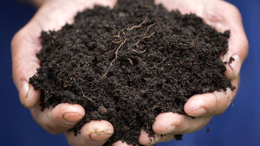 蚯蚓铸件还含有腐殖质，有助于土壤进一步松弛和透气