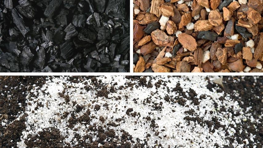 在红掌的土壤中加入木炭、兰花树皮和珍珠岩，使其排水良好