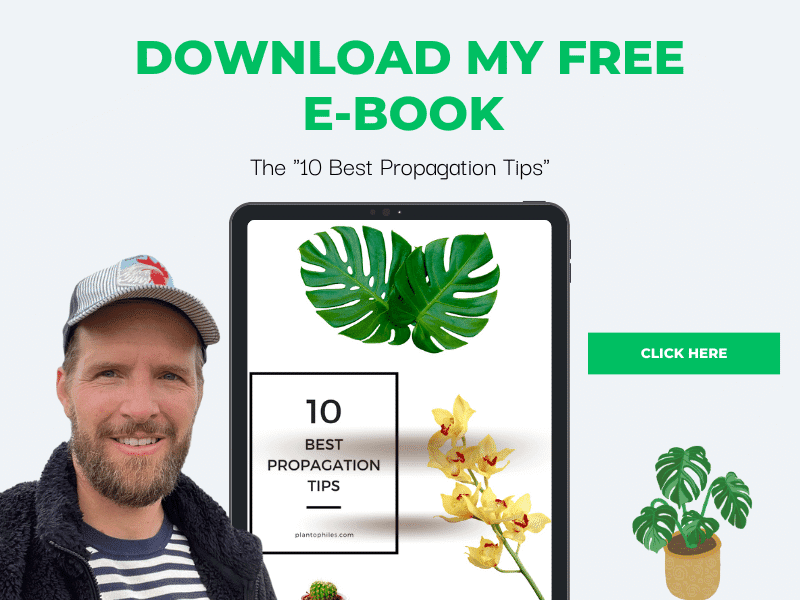 10个最好的植物繁殖技巧免费电子书